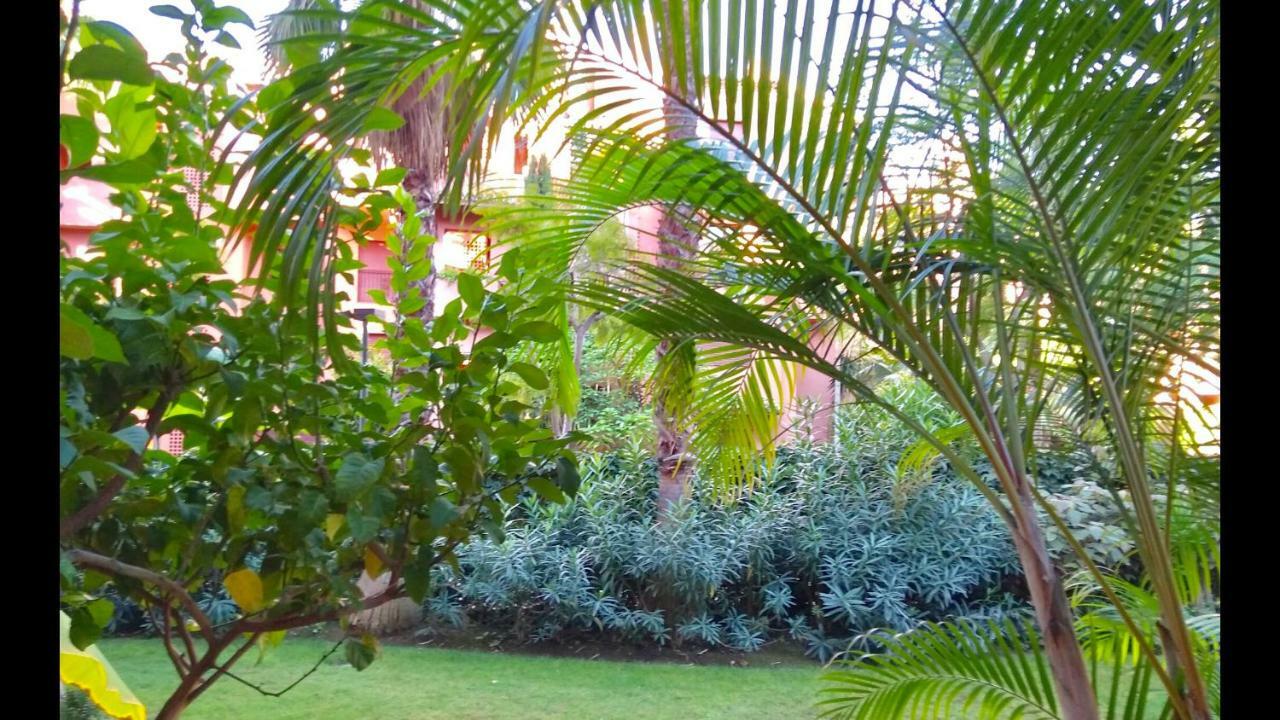 Marbella Alicate Beachfront - Luxury Apartment-2 외부 사진